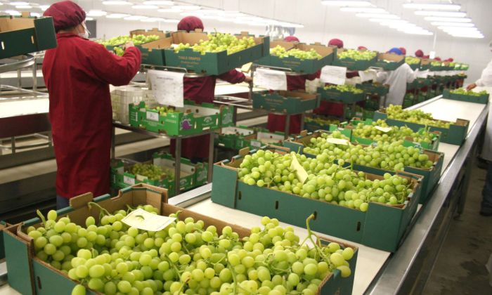 agroexportaciones